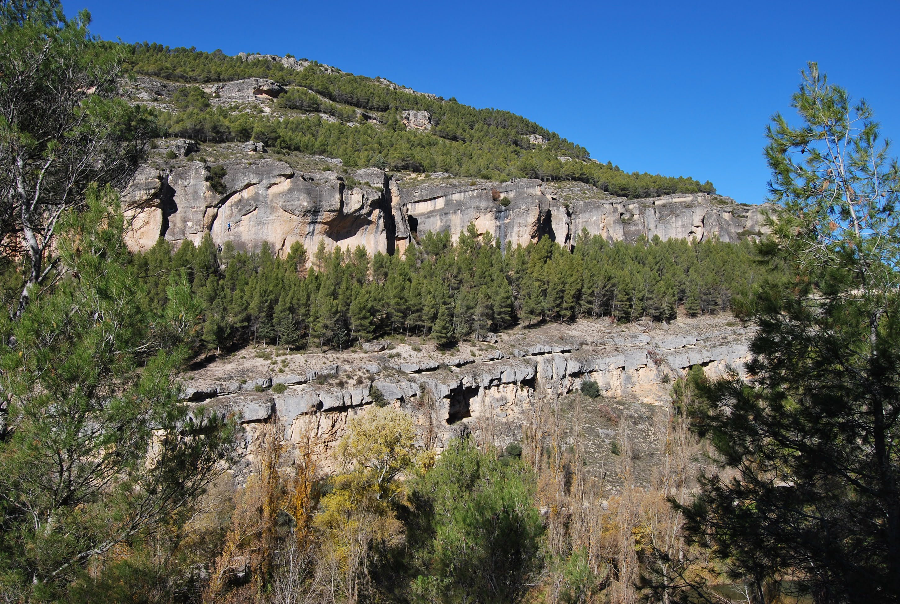 Tres montes en Cañizares, Cuenca, demuestran su impacto positivo en la
